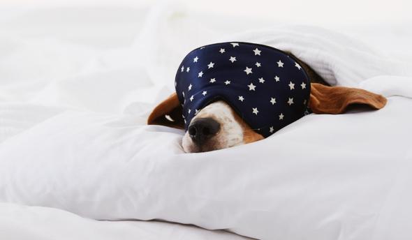 tips for a better nights sleep 3